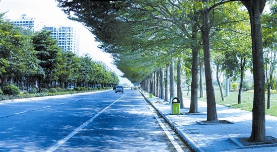 崖州灣科技城研學大道A段道路工程項目EPC、監(jiān)理