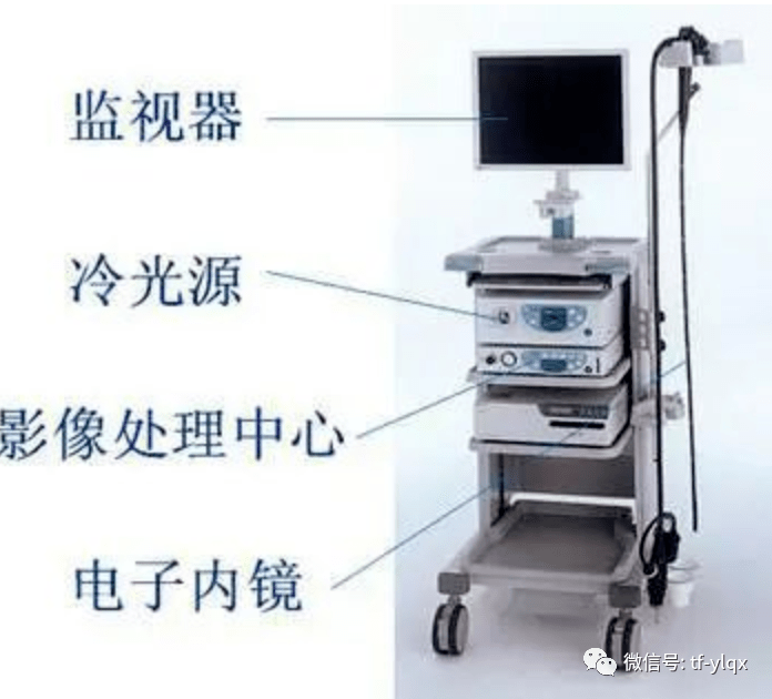 西安交通大學(xué)第二附屬醫(yī)院消化內(nèi)鏡、介入耗材供應(yīng)商遴選項(xiàng)目