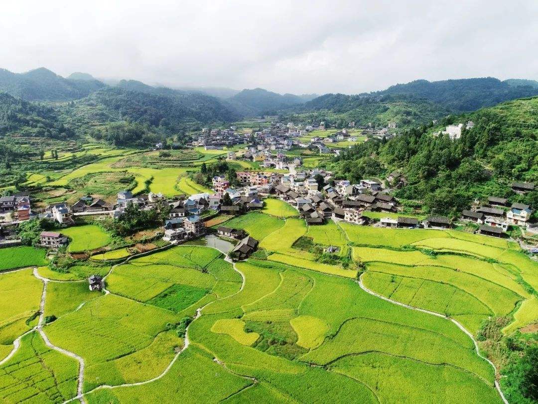 西安市臨潼區(qū)2020年政策性農(nóng)業(yè)保險承保機構采購項目