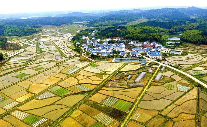 西安市臨潼區(qū)農(nóng)村“房地一體”宅基地和集體建設用地不動產(chǎn)權籍調(diào)查牽頭服務采購項目、地權籍調(diào)查服務采購項目