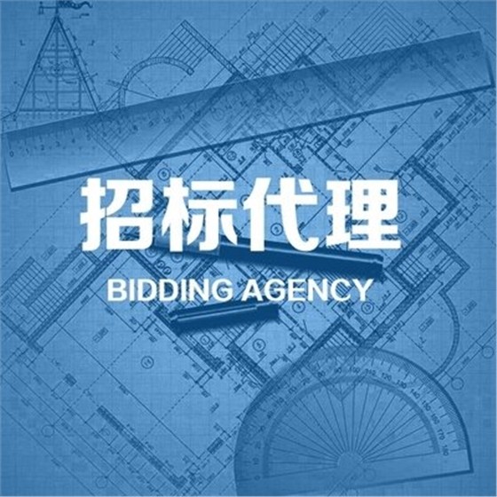 招標代理業(yè)績一覽表 招標代理業(yè)績一覽表