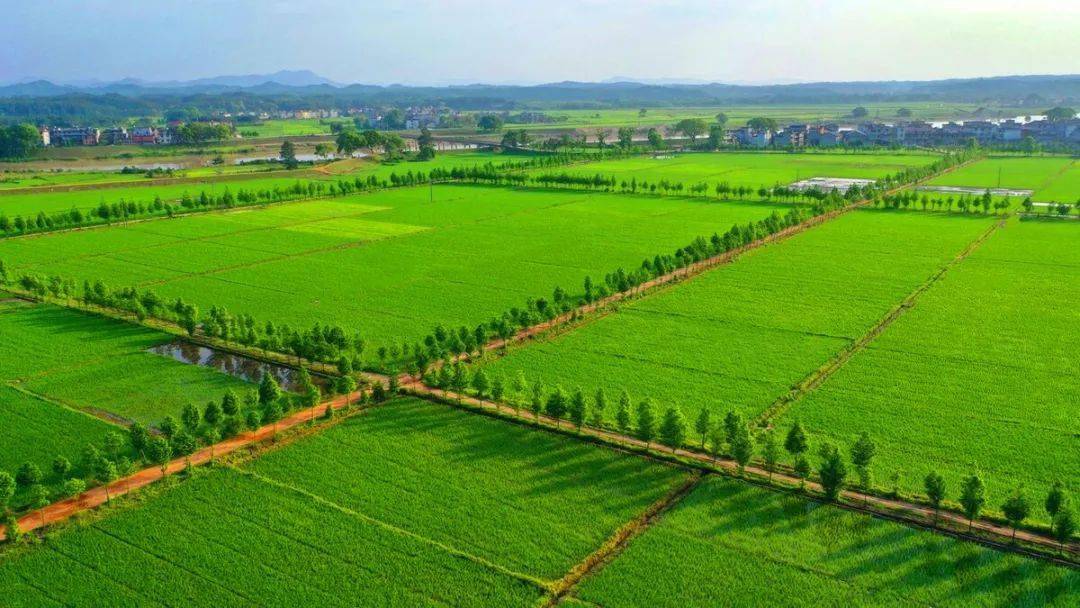 扶風(fēng)縣2014年高標(biāo)準基本農(nóng)田建設(shè)項目（一標(biāo)段）扶風(fēng)天度鎮(zhèn)南陽村等6個村高標(biāo)準基本農(nóng)田建設(shè)項目