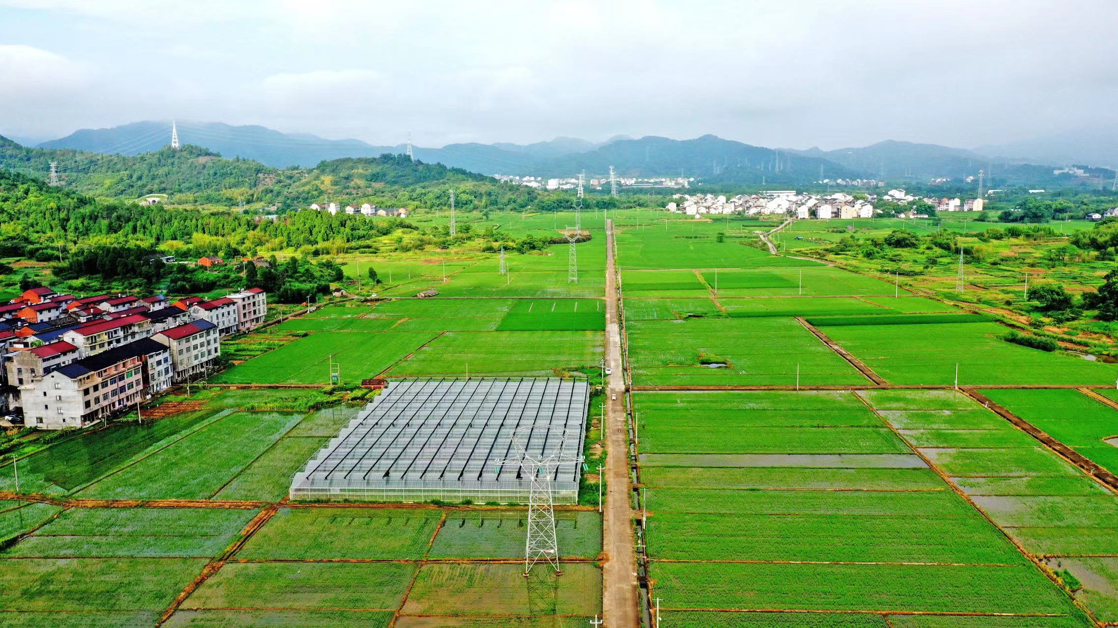 長武縣巨家鎮(zhèn)2020年中央預算內(nèi)高標準農(nóng)田建設項目監(jiān)理一標段