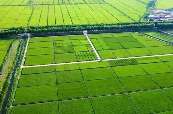 張家口市宣化區(qū)2019 年高標準農(nóng)田建設項目監(jiān)理第三標段